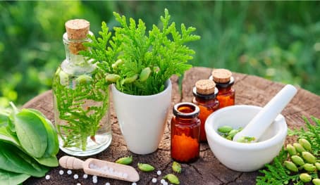 India's AYUSH Sector Overview